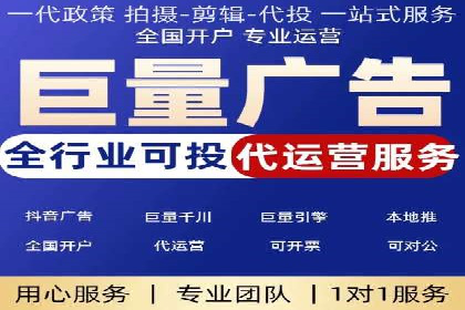竞价广告策略案例分析